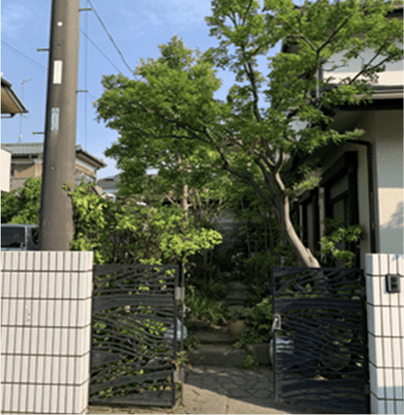栃木県小山市 刈り込み枝落とし
